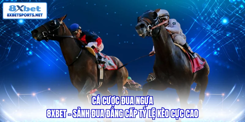 Quy trình tham gia cá cược đua ngựa 8XBET đơn giản