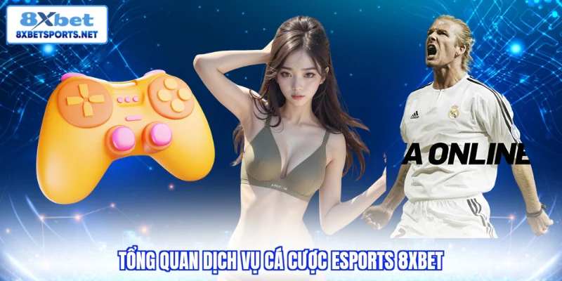 Cá Cược Esports 8XBET - Lựa Chọn Số 1 Với Kho Giải Đấu Lớn Tổng quan dịch vụ cá cược Esports 8XBET